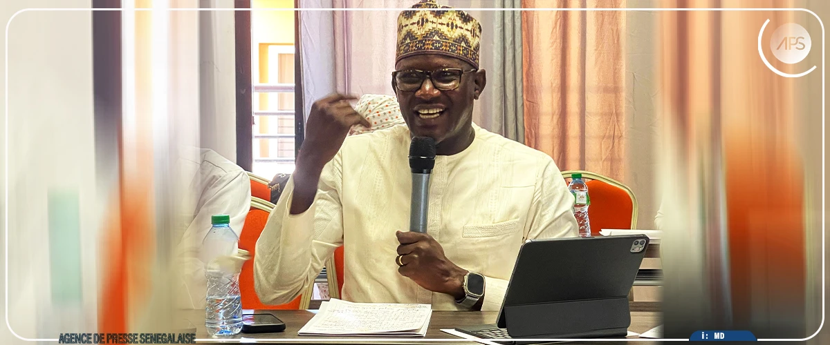 Appel à une mobilisation accrue des ressources domestiques pour lutter contre les MTN