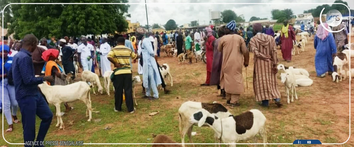 Une alliance sénégambienne préconisée pour renforcer la lutte contre le vol de bétail