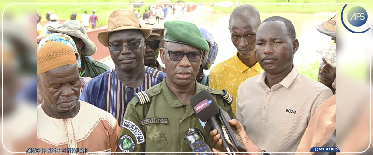 Tambacounda : 800 plants d'arbres reboisés à Missirah