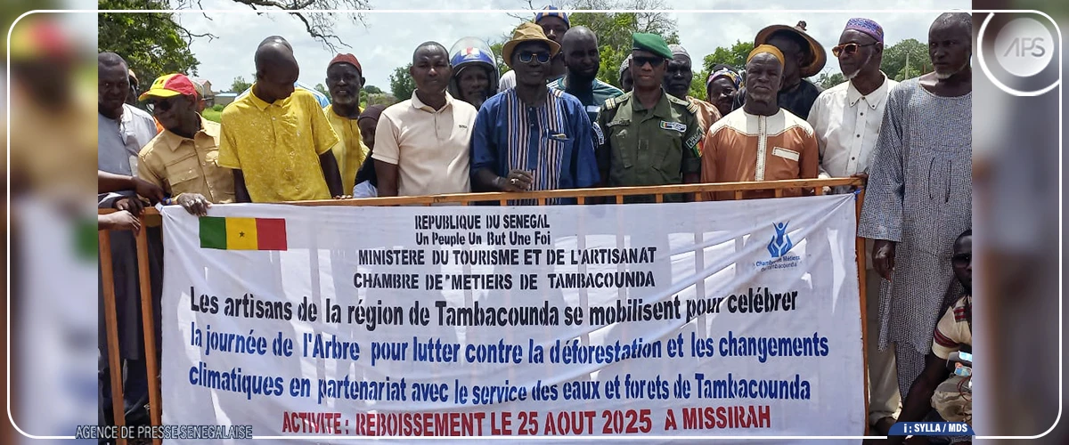 Tambacounda : 800 plants d'arbres reboisés à Missirah