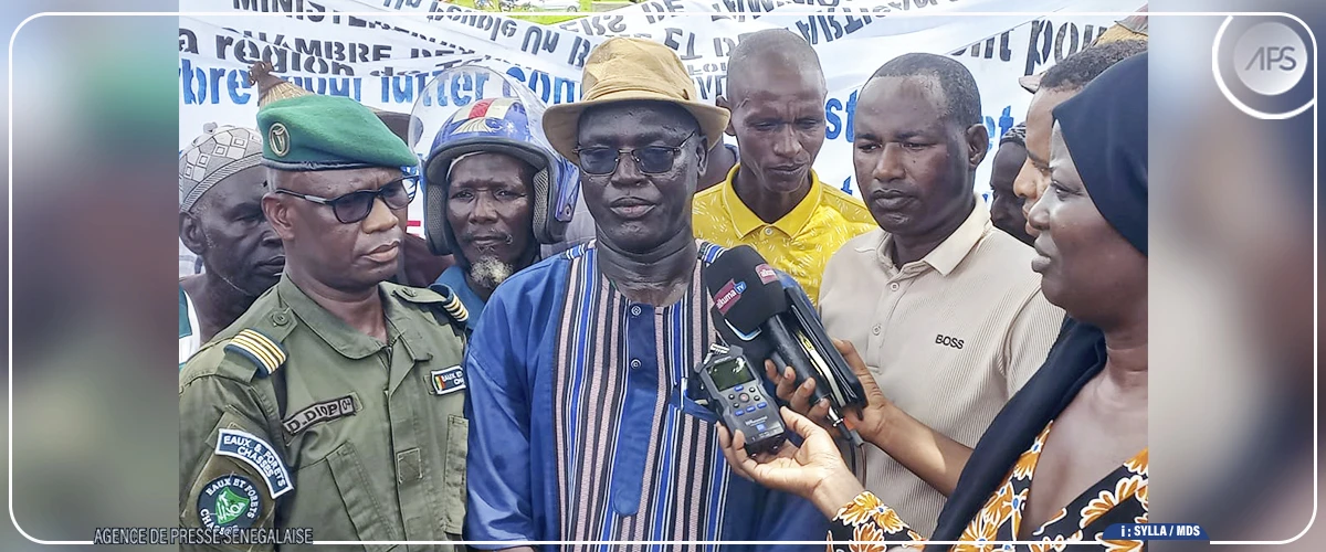 Tambacounda : 800 plants d'arbres reboisés à Missirah