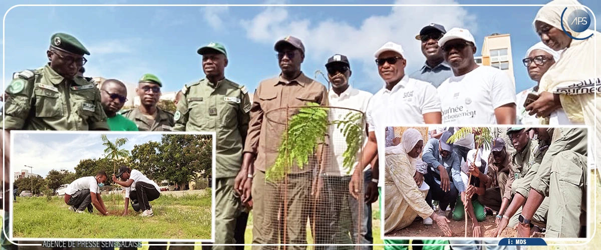 Dakar 2026 : lancement officiel d'une campagne de reboisement de 100 000 arbres 