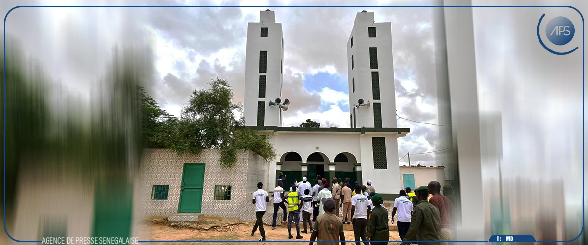 Campagne de reboisement : 393 arbres plantés dans la commune de Ndande