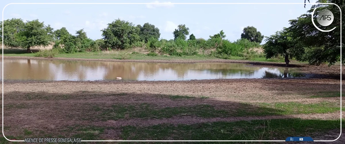 La situation pluviométrique toujours déficitaire dans le département de Kaolack (GTP)