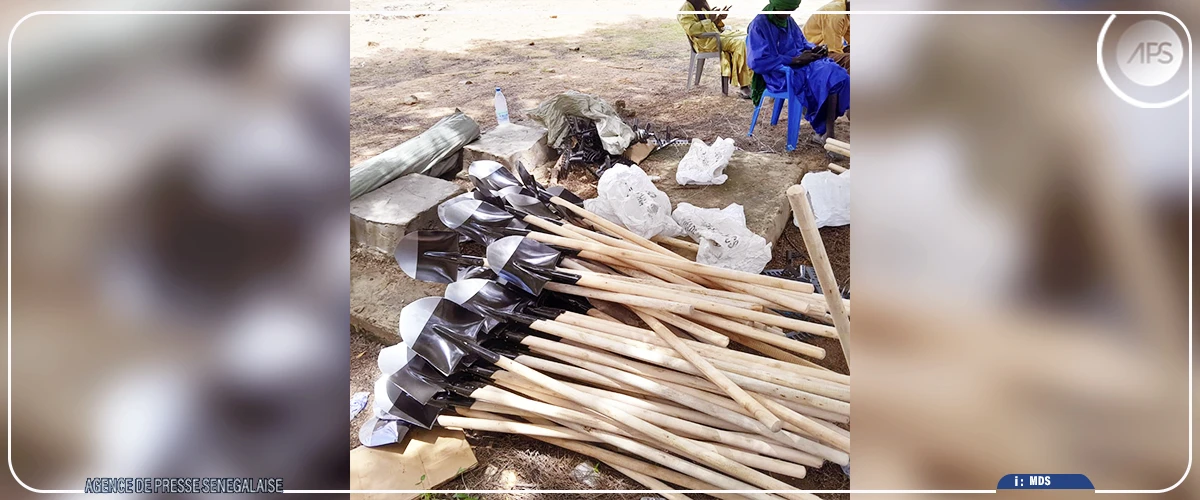 Dahra : des bénéficiaires du projet Agri-jeunes reçoivent 408 moutons pour leurs activités