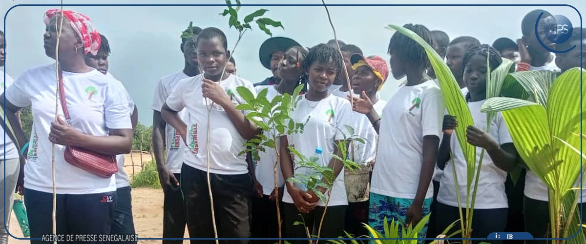 Abéné : lancement des activités de restauration de l'ancien site d'exploitation du zircon