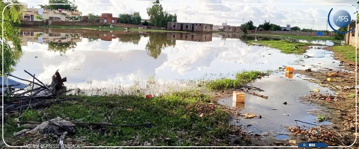 Matam : le village de Diamel dans l'angoisse d'un débordement du fleuve Sénégal