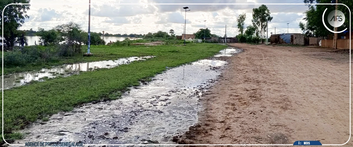 Matam : le village de Diamel dans l'angoisse d'un débordement du fleuve Sénégal