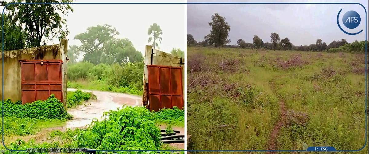 Sédhiou : les habitants de Niaghoump réclament l'achèvement des travaux de leur ferme agricole