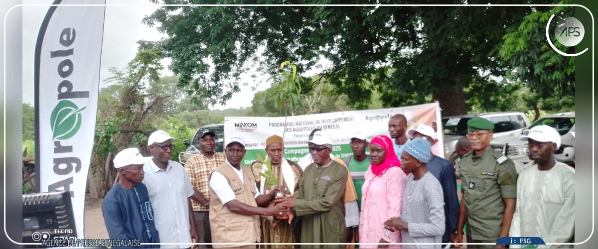 L'Agropole sud distribue des milliers de plants fruitiers aux producteurs du Boudié