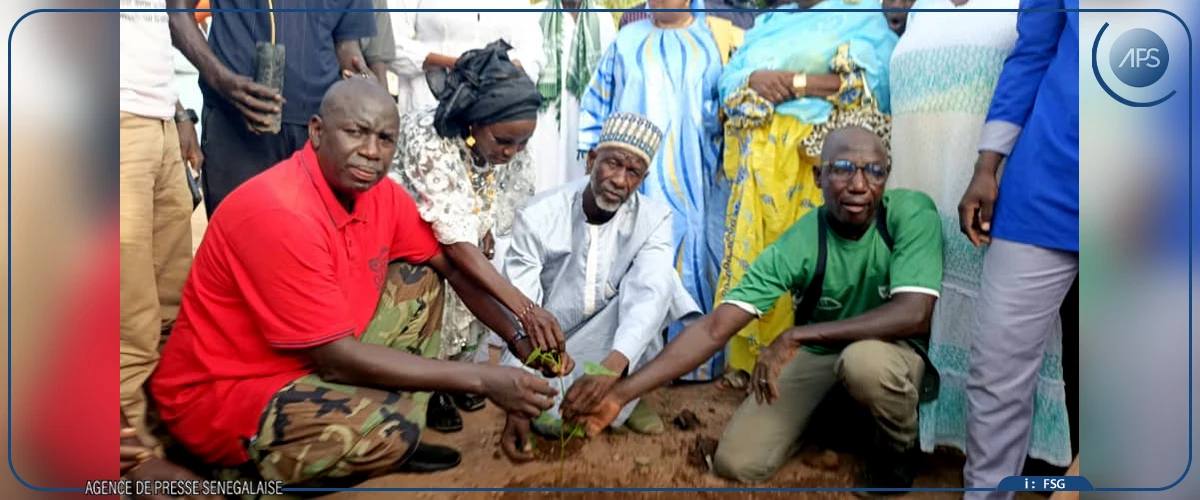 Koungheul : une association reboise 1259 plants dans les communes du département