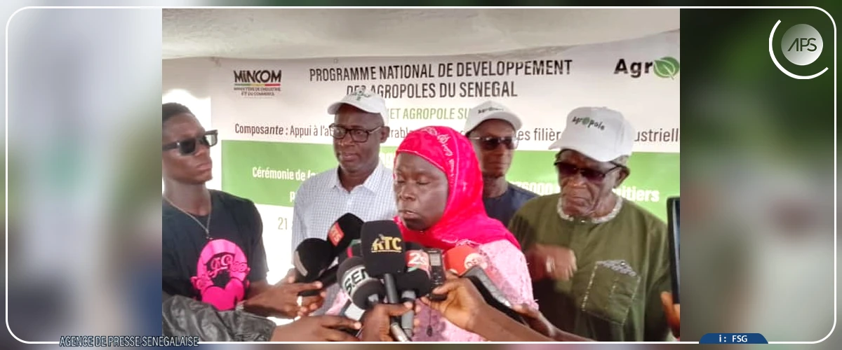 L'Agropole sud distribue des milliers de plants fruitiers aux producteurs du Boudié