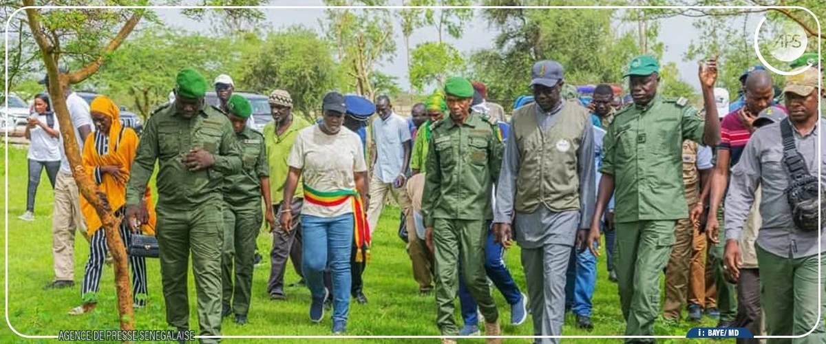 Kaolack : les Amazones du Saloum apportent une contribution de mille plants à la campagne de reboisement