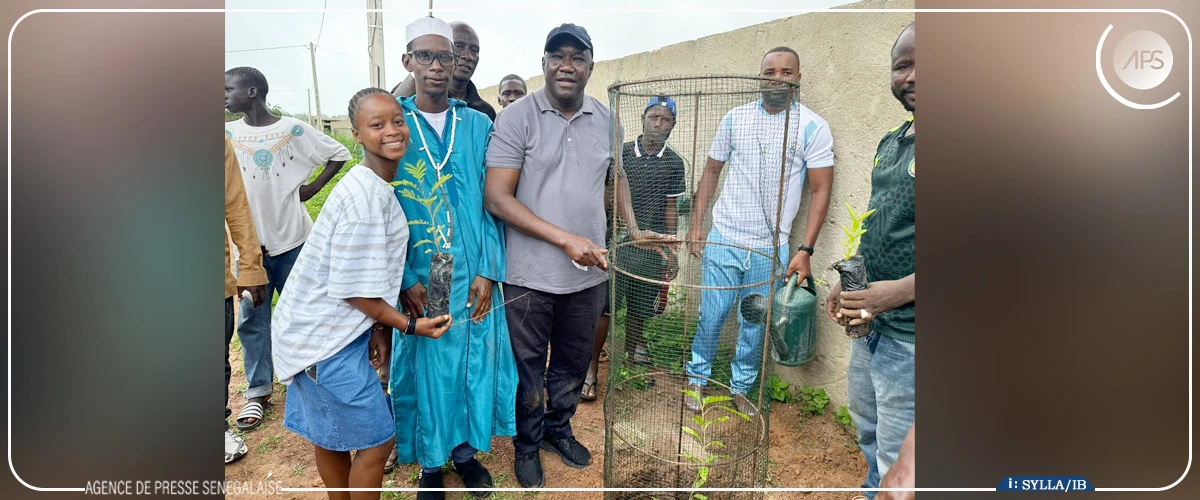 Tambacounda : le maire encourage les habitants de la ville à souvent planter des arbres