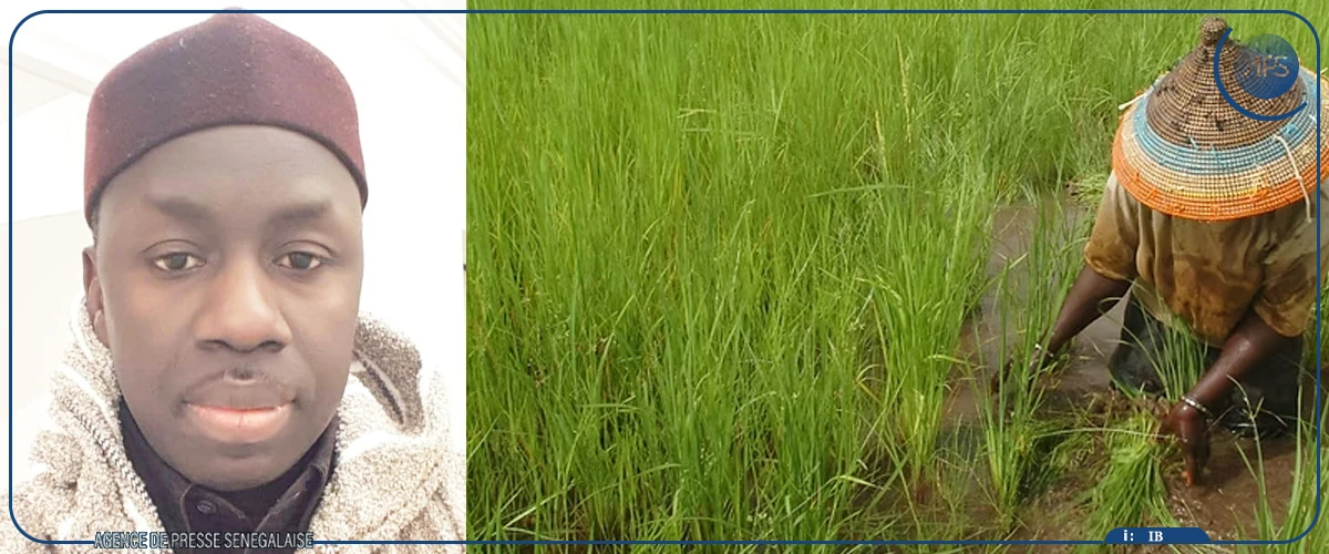 Protection de l’environnement : la campagne ‘’Green August’’ sera lancée lundi dans la région de Kaffrine