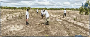Fatick : 17 ASC de Loul Sessène s'engagent dans la lutte contre la salinisation des terres