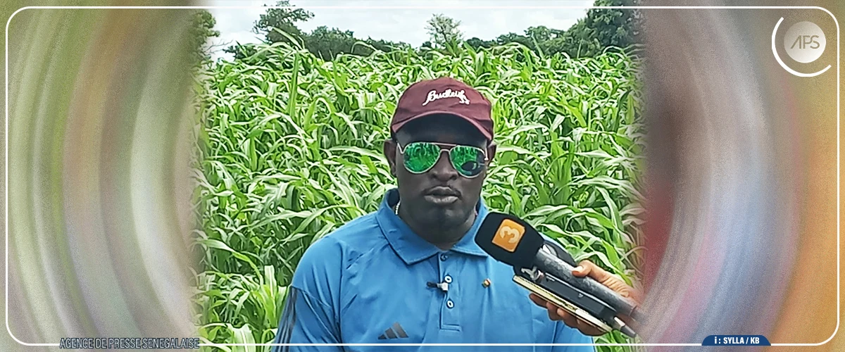 Tambacounda abrite la cinquième édition de ''Oscar des Talents''