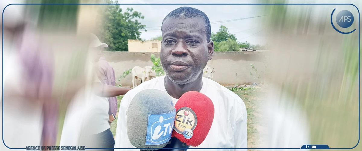 Linguère : 350 jeunes bénéficient d’un financement de 240 millions CFA du projet Agri-jeunes