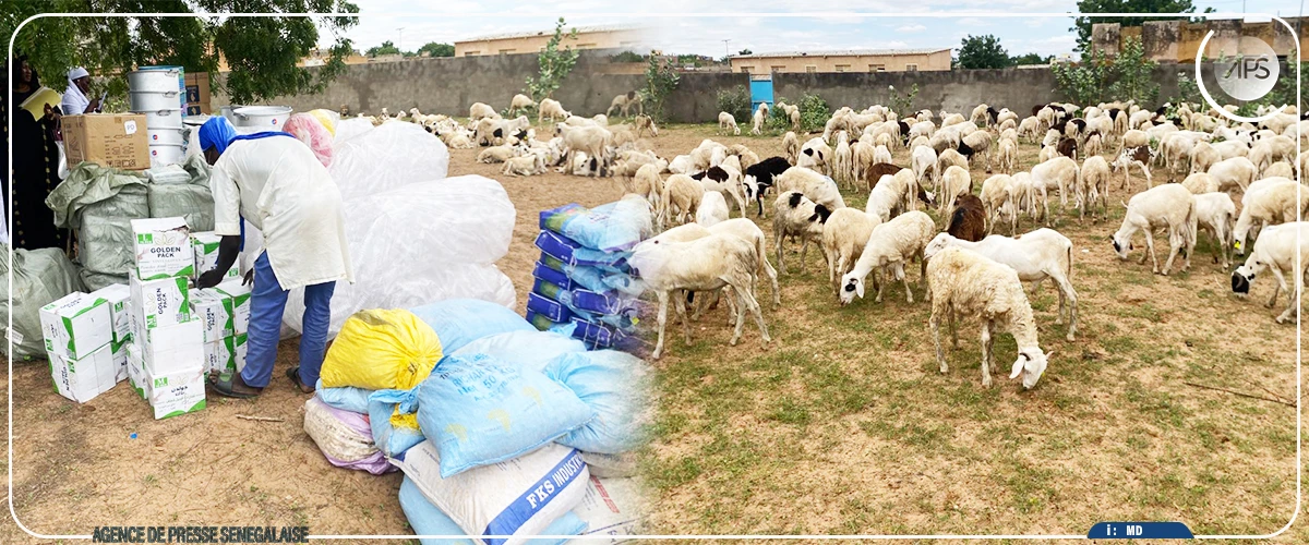 Linguère : 350 jeunes bénéficient d'un financement de 240 millions CFA du projet Agri-jeunes