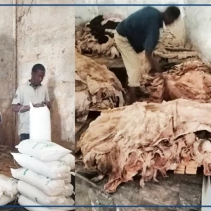 Magal de Touba : une aubaine pour l'industrie du cuir