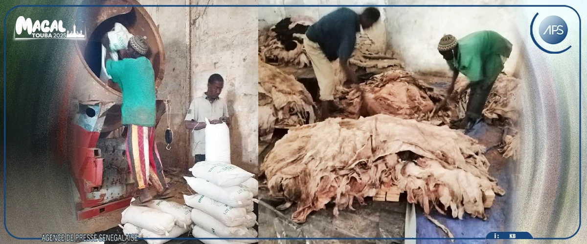 Magal de Touba : une aubaine pour l'industrie du cuir