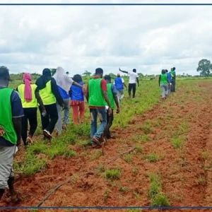 A Ziguinchor, la ferme pilote de Baghagha pleinement engagée dans les "vacances agricoles citoyennes"