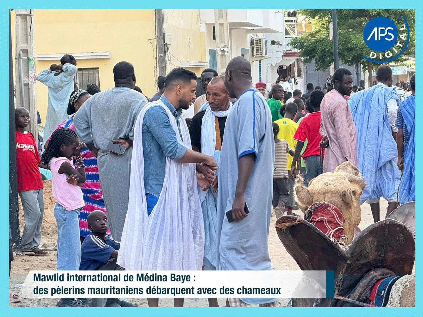 Mawlid international de Médina Baye : des pèlerins mauritaniens débarquent avec des chameaux 
