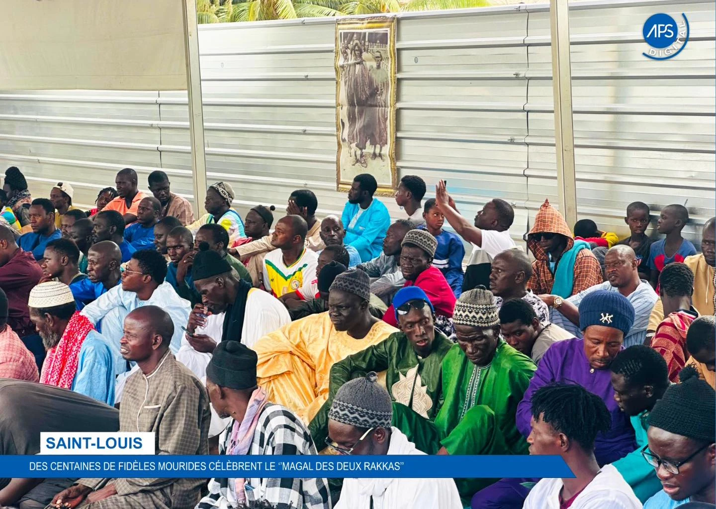 Saint-Louis : des centaines de fidèles mourides célèbrent le " Magal des deux Rakkas "