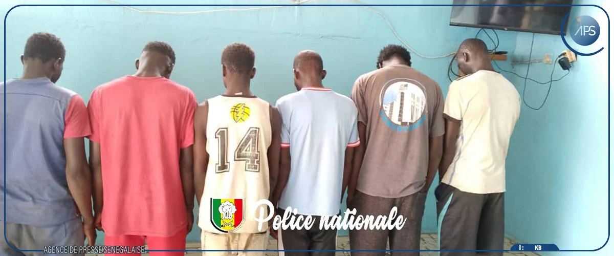 Kolda : six personnes arrêtées pour vol de bétail et abattage clandestin