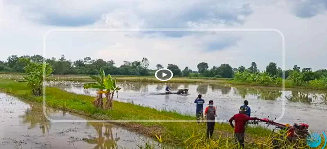 Industrie et agriculture : le Sénégal à l’école du modèle thaïlandais de Chonburi