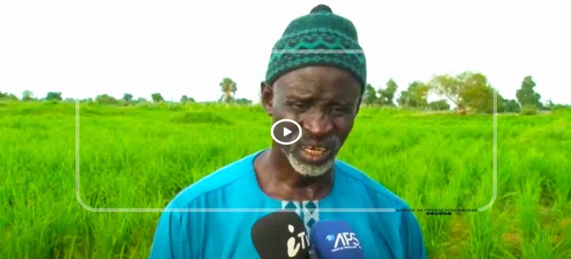 Kaolack : Plaidoyer des producteurs agricoles pour plus d’accompagnement