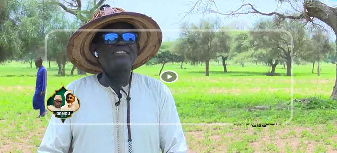 Diacksao : Plus qu’un vœu, l’aboutissement de l’œuvre de Seydi Hadji Malick Sy