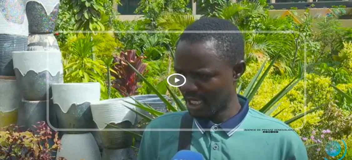 Marché floral à Dakar : Les défis du stockage et de la conservation