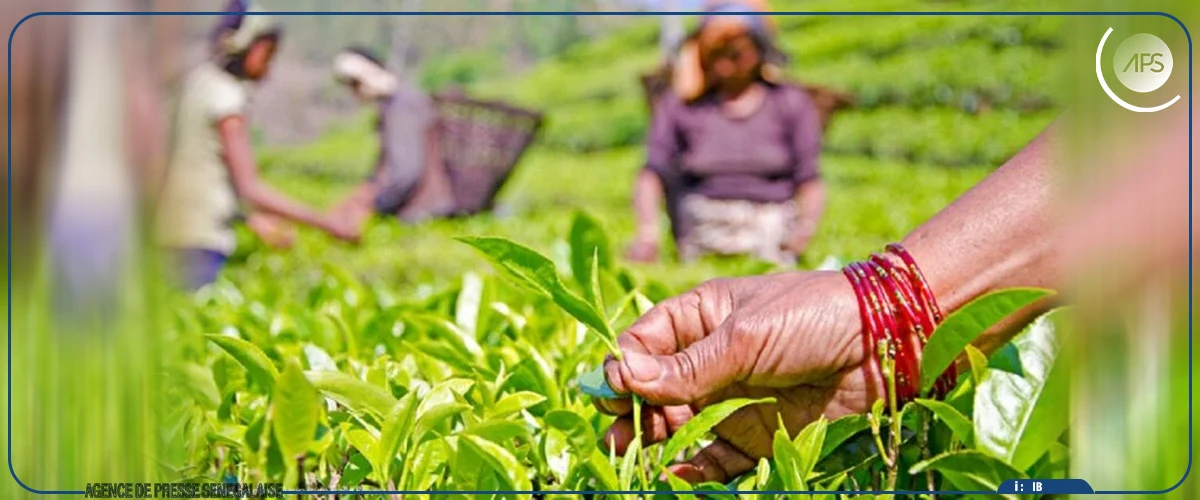 Des acteurs misent sur le plaidoyer régional pour promouvoir l’agroécologie