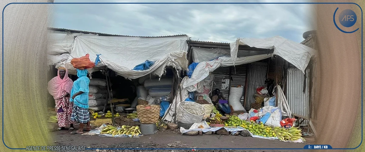 Kaolack : les consommateurs déplorent le prix élevé des fruits, les vendeurs s'expliquent