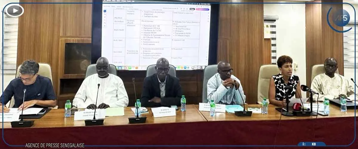 SENTERMINO, une plateforme numérique au profit des productions en langues nationales