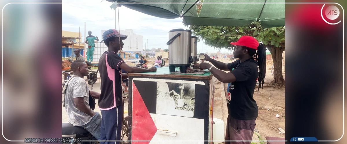 Kaolack : la résilience et l’ingéniosité des vendeurs de café Touba face à la flambée des prix de la matière première