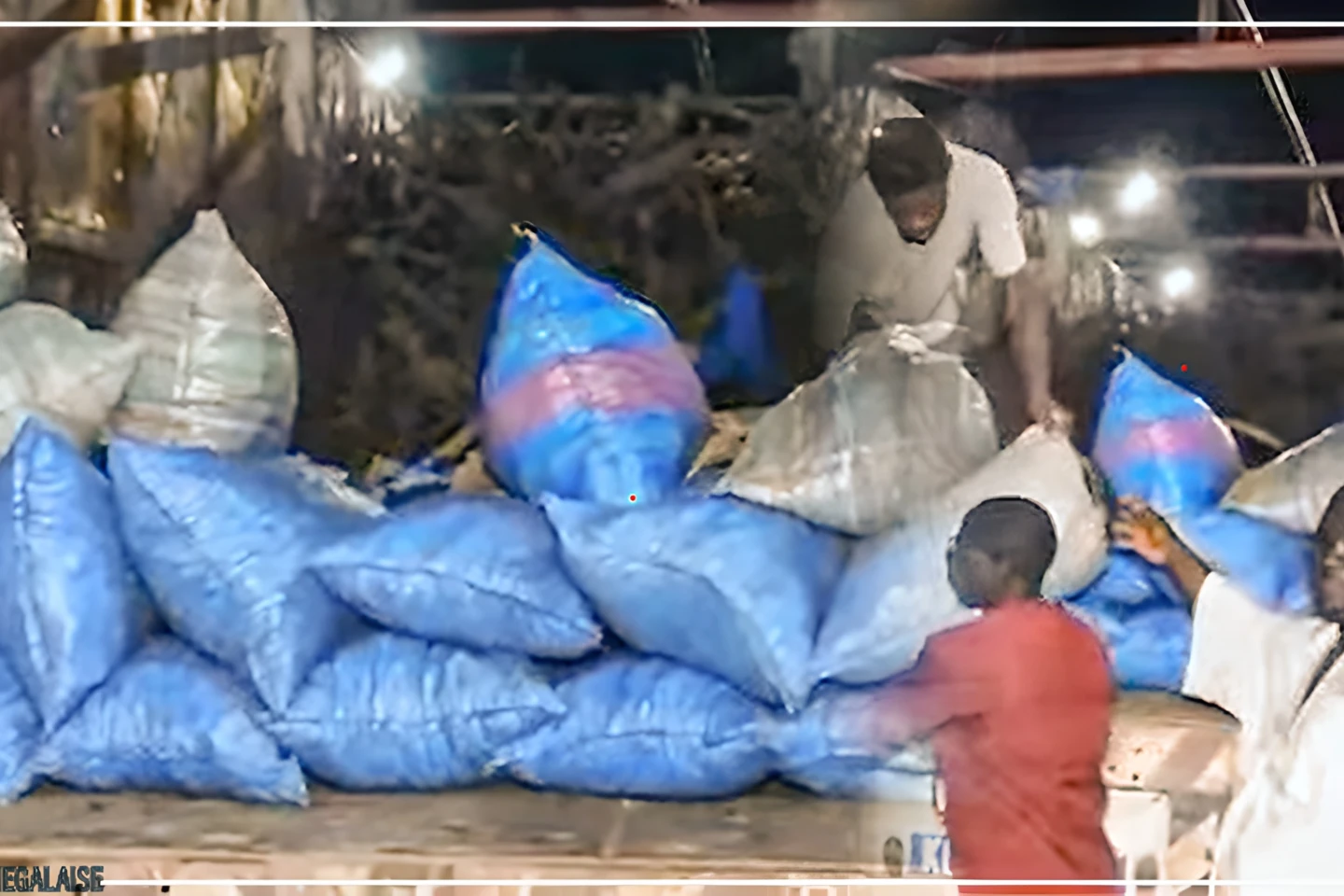 Gamou de Médina Baye : deux camions de bois de chauffe de fidèles de Tambacounda au khalife