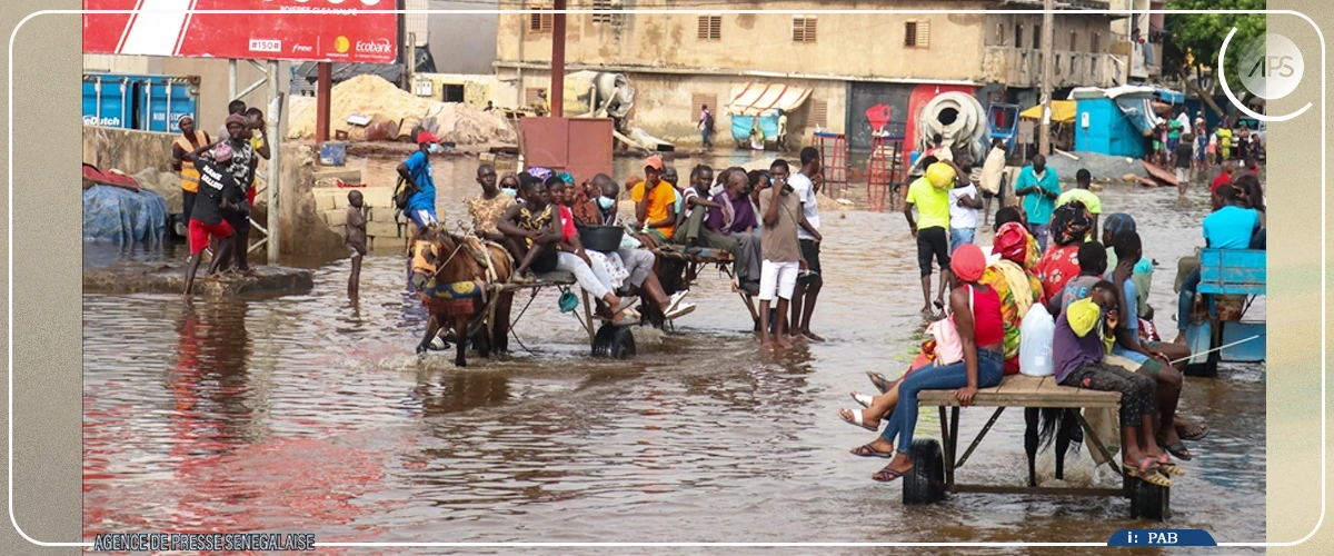 Dakar : les charrettes, moyen de transport privilégié dans la banlieue confrontée aux inondations