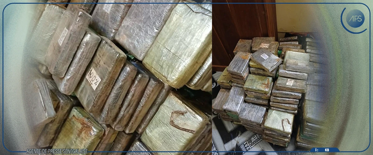 240 plaquettes de cocaïne d’une contrevaleur de près de 22 milliards FCFA saisies par les douanes