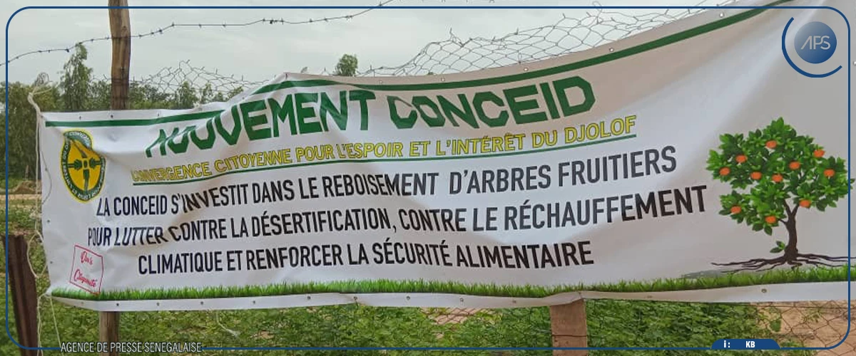 Linguère : une journée de reboisement pour freiner l’avancée du désert dans le Ferlo