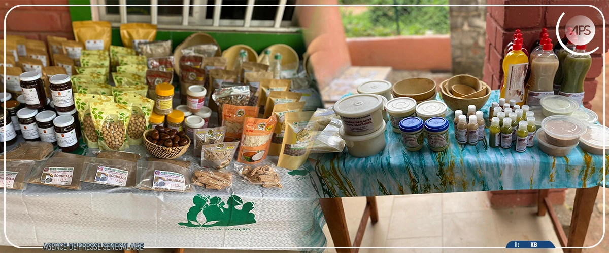 Ziguinchor : des leaders ouest africains en formation sur l’agroécologie à Niaguis