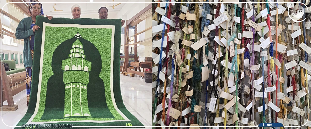 Un projet de création d’unités des MSAD dans les régions en gestation