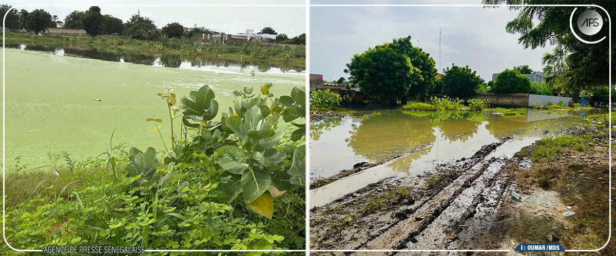 Bambey : 13 sites critiques libérés des eaux