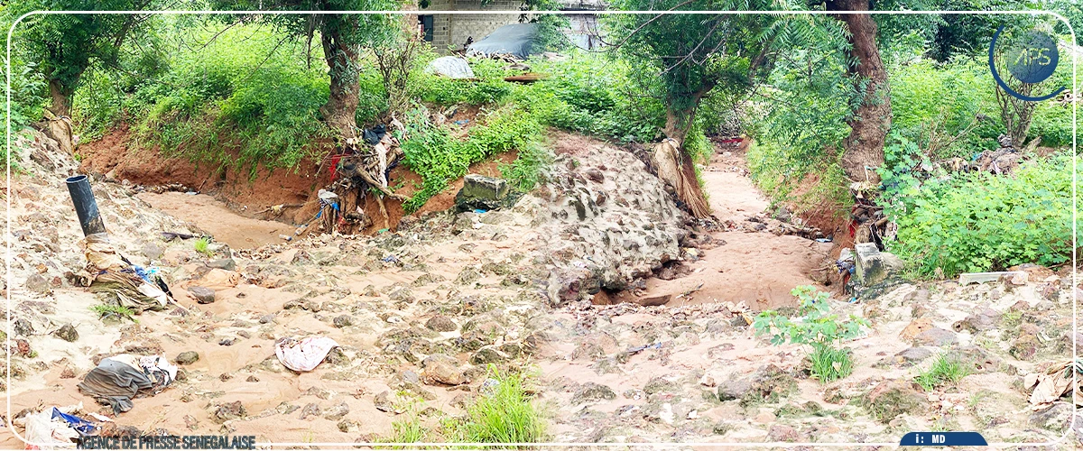 L'État renforce son dispositif contre les inondations à Touba (ministre)