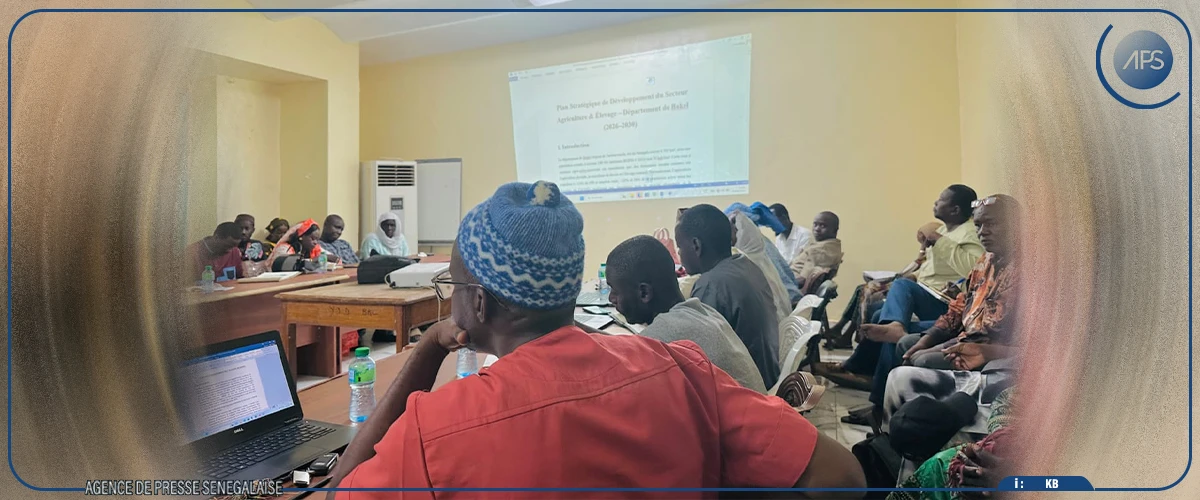 Bakel : un plan de développement de l’agriculture et de l’élevage en gestation