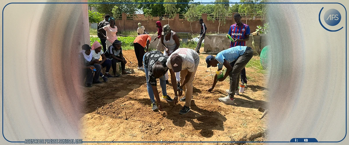 Richard-Toll : des élèves sensibilisés sur les modules enseignés à l’ISEP