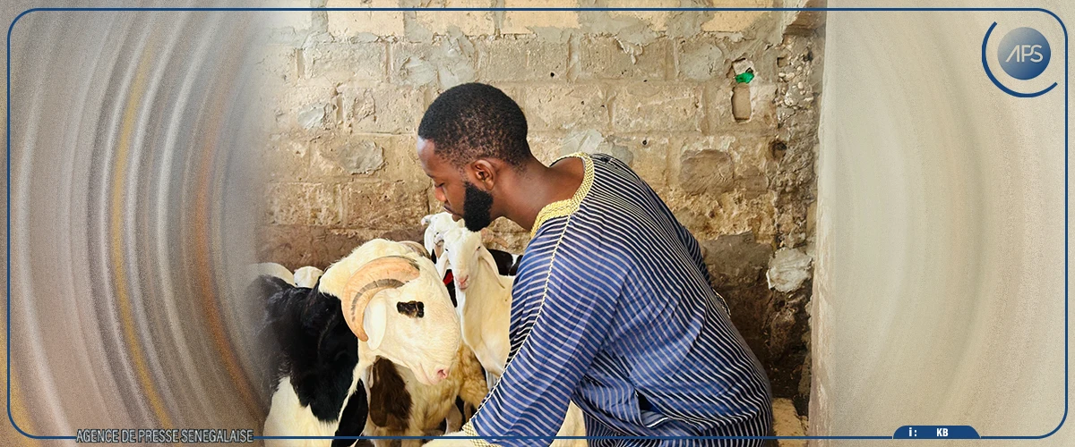 Saint-Louis : des leaders communautaires appellent à une vaste campagne de sensibilisation contre la Fièvre de la vallée du Rift