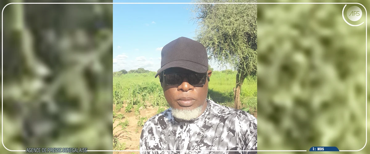 Bakel : les maraîchers sous la hantise d’éventuels lâchers d’eau du fleuve Sénégal