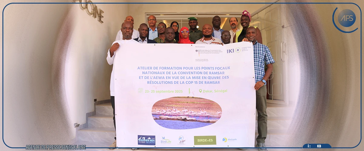 BirdLife international outille les Points focaux Ramsar et AEWA de trois pays africains